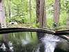 森の中で森林浴と温泉露天風呂「美想の湯」：貸切対応
