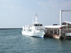*甑島行きの高速船。当館は甑島に遊びにいく拠点に最適！