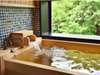 ●客室檜風呂●全客室で自家源泉をお愉しみいただけます。