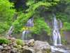 吐竜の滝です。美しい自然と爽やかな空気をお楽しみいただけます。