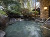 森に沸き立つ秘湯のような空間で箱根の名湯をお楽しみください。