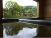 男女別にある大浴場。大きな窓からは日本庭園をご覧いただけます。