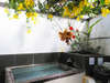 *無料貸切ジャングル風呂／6月はアラマンダのお花が美しい