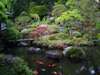 かの有名な夢窓国師の日本庭園。囲まれた緑に風を感じながら、小鳥のさえずりと共に非日常へと導きます。