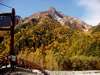明神岳黄葉、１０月２０日ころ。明神橋からは、主峰が見えません。明神館の場所、明神まで、戻って下さい。