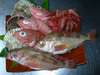 知床産きんき・ほたて、日本海産のどぐろ・あまえび・めばるなどの高級魚