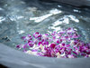 露天風呂にお花を浮かべてご利用ください。