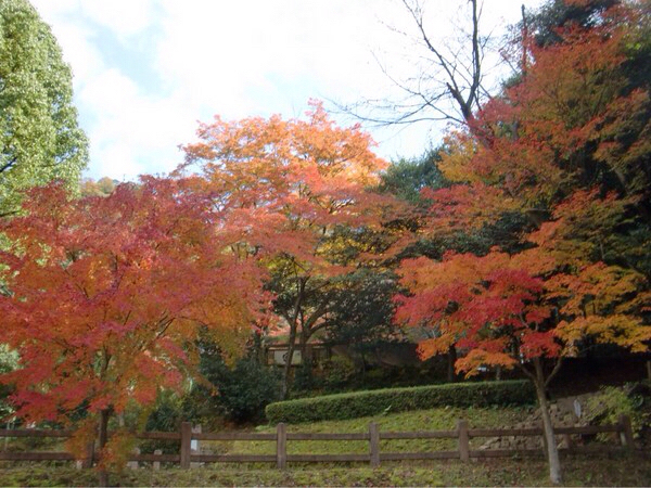 岐阜城へ 紅葉を感じる旅 じゃらん旅行記