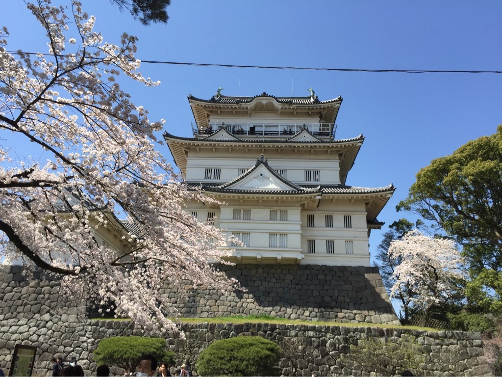 桜城