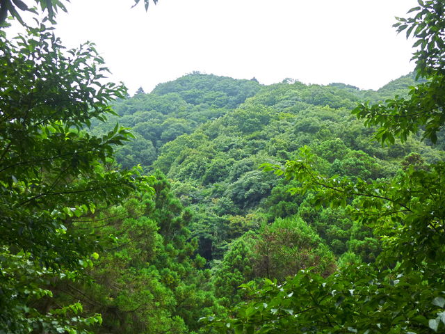 西島 (東京都)