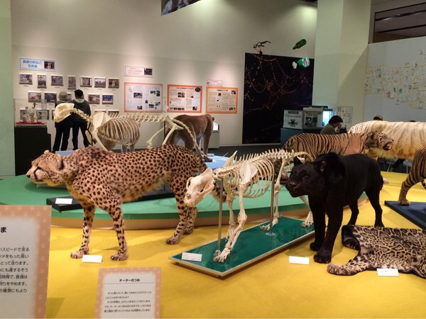 いのちのたび博物館と門司港レトロ 下関 じゃらん旅行記