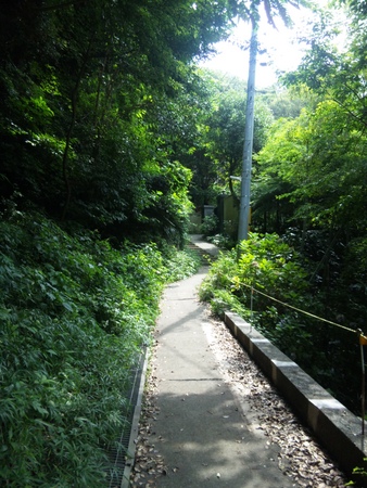 北鎌倉 明月院 天園ハイキング 勝上献展望台 十王岩 太平山 瑞泉寺 報国寺 じゃらん旅行記