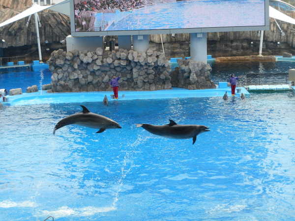 東山動物園 名古屋港水族館と熱田神宮 じゃらん旅行記