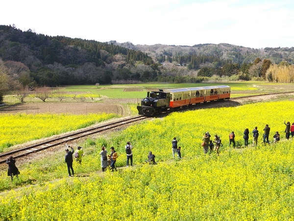 小湊 鉄道