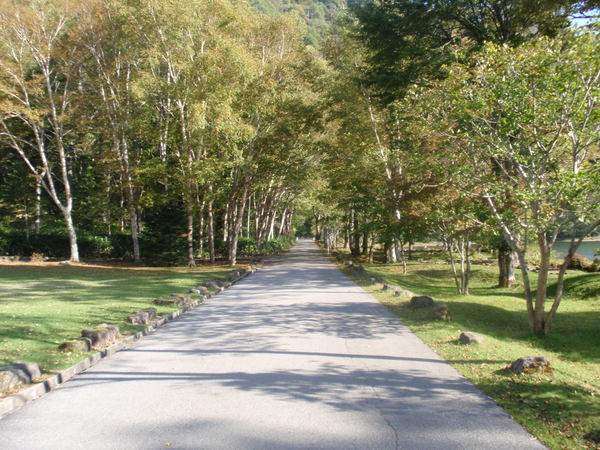 自然を満喫 群馬の秘境を巡る癒しの旅 じゃらん旅行記