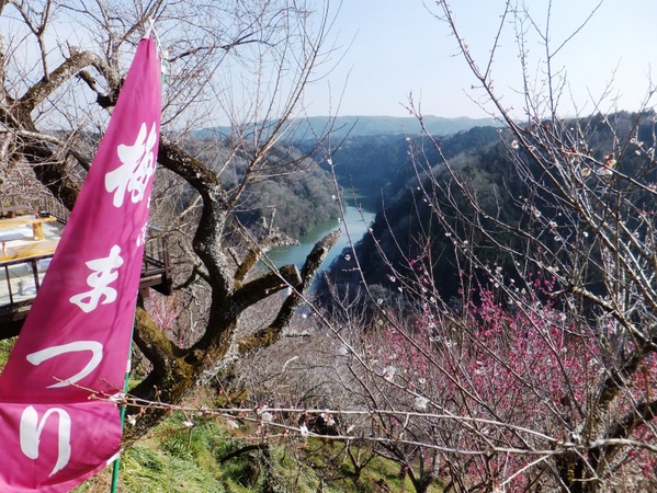 こぼらさんの奈良県の旅行記