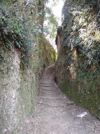 すみっこさんの鹿児島県の旅行記