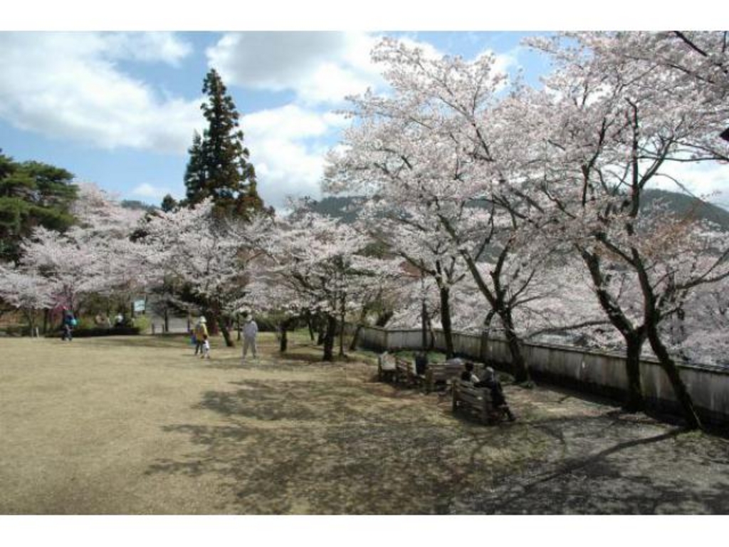 小倉公園 さくらまつり アクセス イベント情報 じゃらんnet