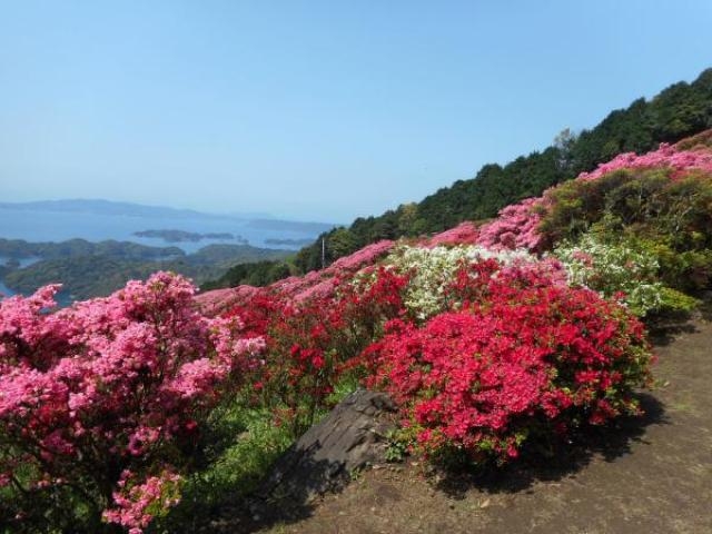 長串山公園のつつじ アクセス イベント情報 じゃらんnet