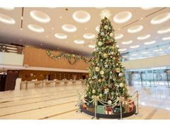 東京ドームホテル　クリスマスイルミネーションの写真1