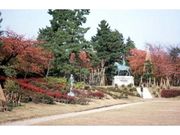 高岡古城公園の紅葉の写真1