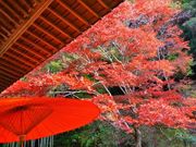 小松寺の紅葉の写真1