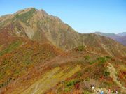 谷川岳の紅葉の写真1