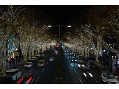 表参道 フェンディ イルミネーションの写真1