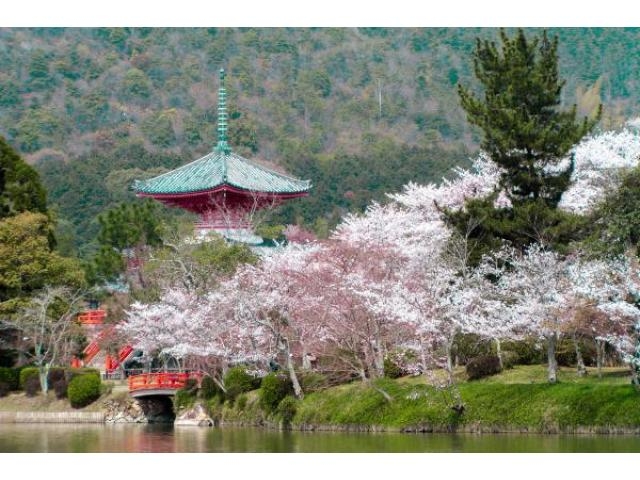 大覚寺 観月の夕べ アクセス イベント情報 じゃらんnet