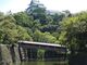 和歌山城　納涼ナイターの写真2