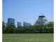 大阪城公園　梅林（見頃）の写真1