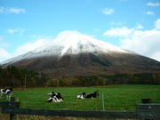 himawariさんの大山の投稿写真1