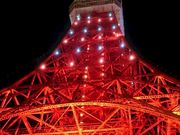 だいすっき！さんの東京タワーメインデッキへの投稿写真1