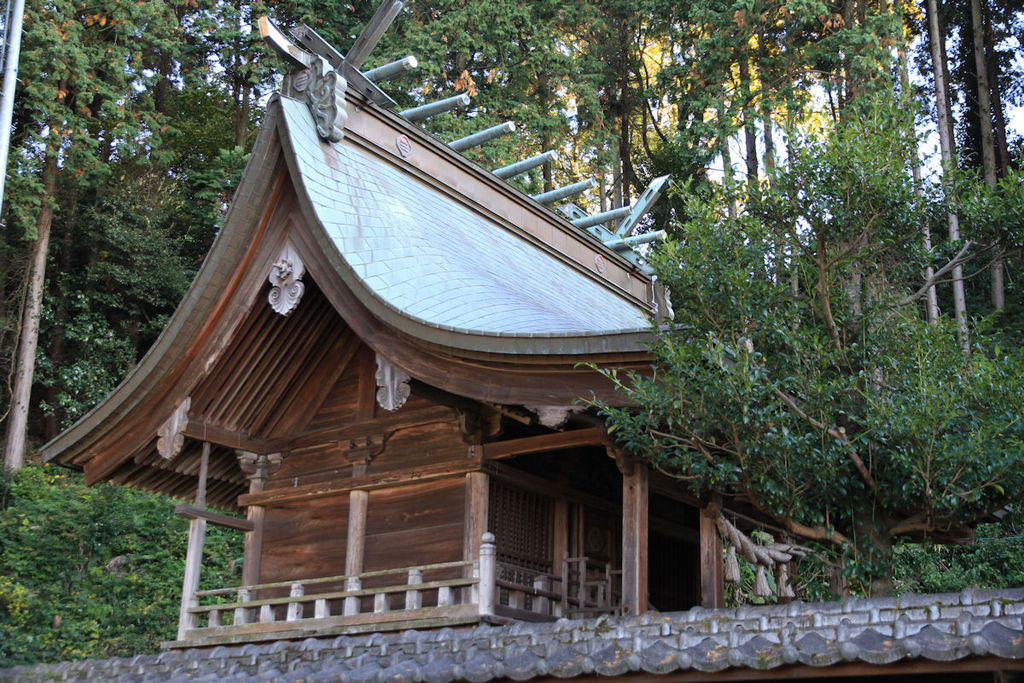 三島神社本殿三島神社本殿