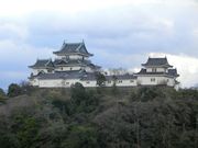 Ｍｉｊｕｎさんの和歌山城への投稿写真1