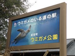 道の駅 紀宝町ウミガメ公園