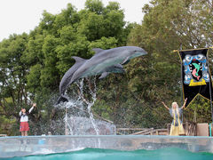 新屋島水族館