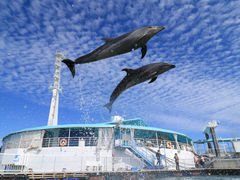 わくわく海中水族館シードーナツ