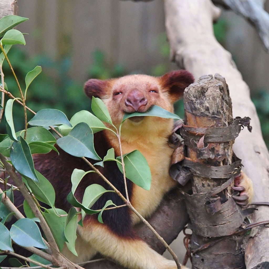 関東の動物園 植物園ランキングtop10 じゃらんnet