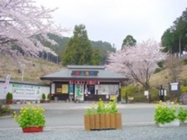 花の奥山高原