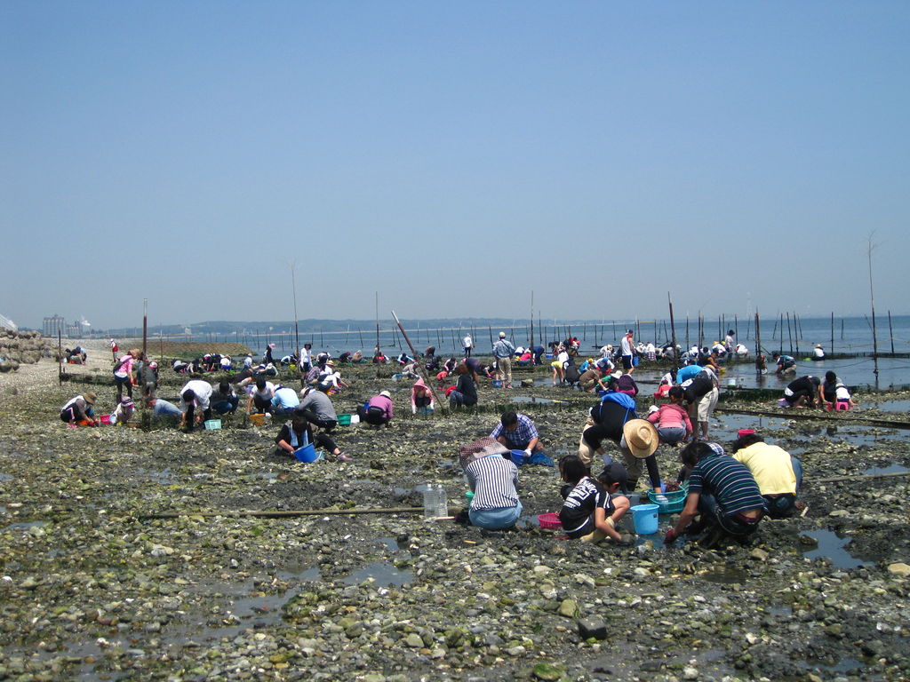 河和口潮干狩場