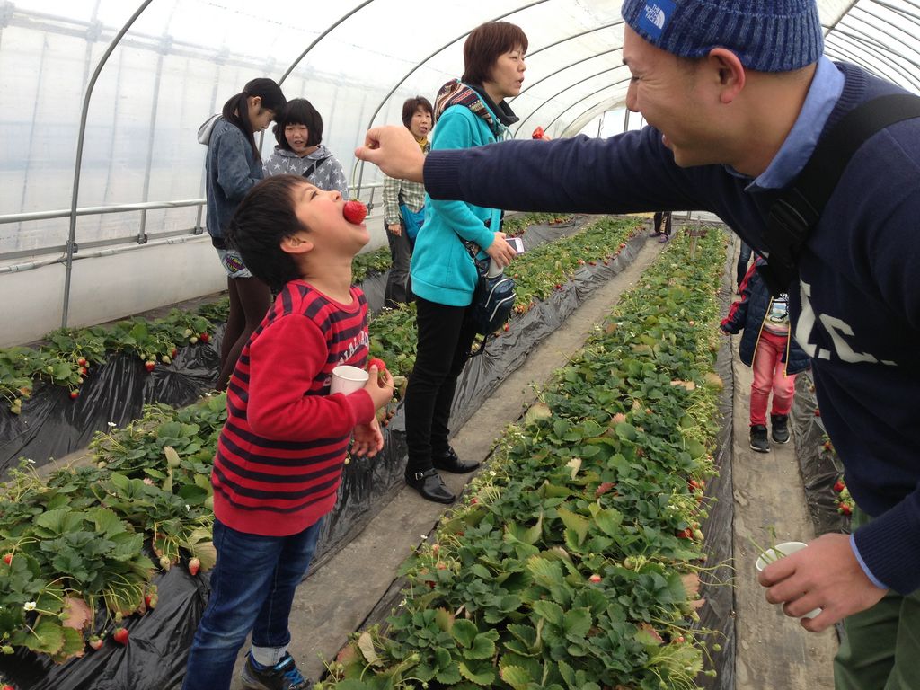 どまんなか田沼観光農園