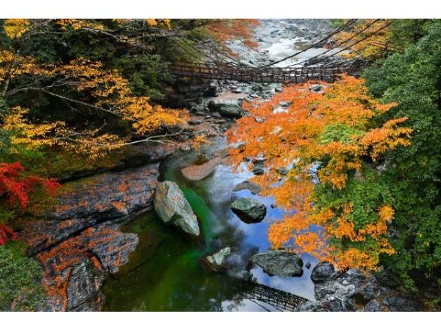 祖谷のかずら橋の紅葉 アクセス イベント情報 じゃらんnet