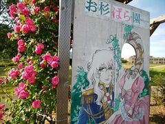 お杉ばら園　バラの開花の写真1