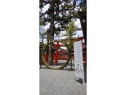 吉田神社　夏越の大祓の写真1