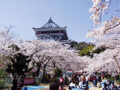熱海城桜まつりの写真1