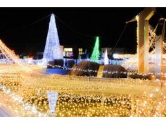 クリスマスファンタジーナイト2025 in 霧島ヶ丘公園の写真1