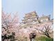 福山城公園の桜の写真1