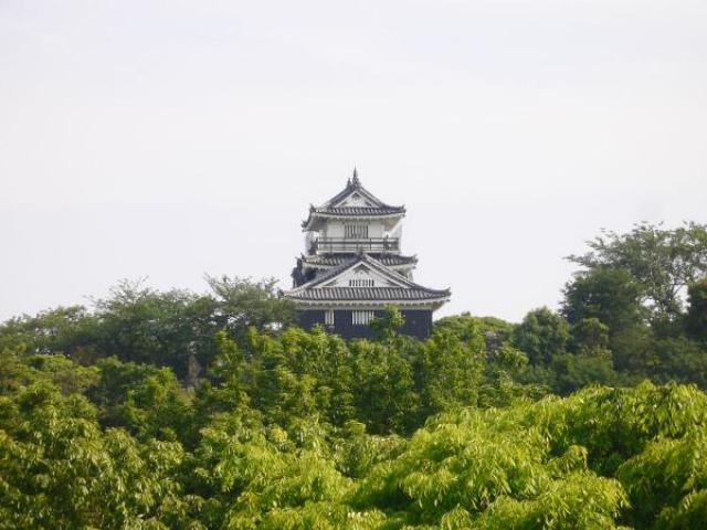 浜松城公園の紅葉 アクセス イベント情報 じゃらんnet