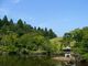 小泉潟公園　菖蒲園のハナショウブの写真1